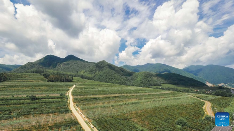 Barabara kuu ya kitaifa yaleta fursa mpya kwa mji mdogo wa milimani mkoani Jilin, China
