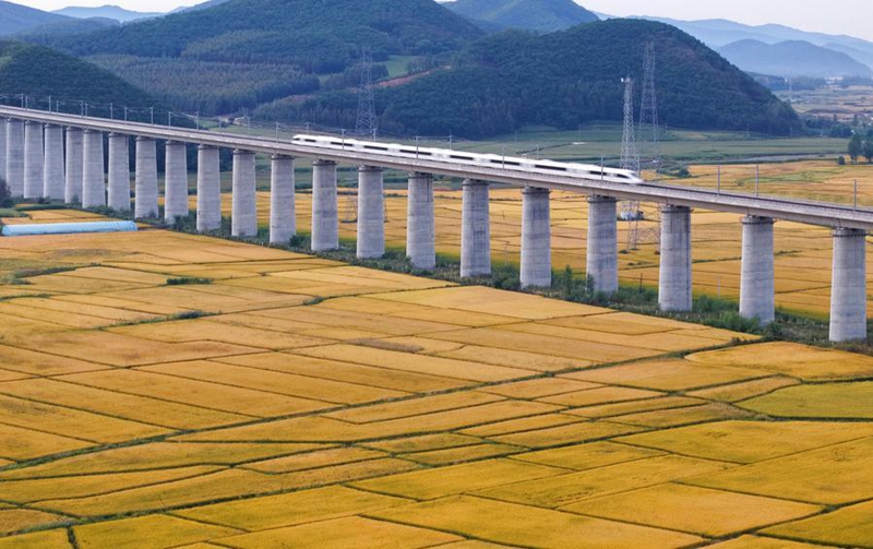 Mashamba ya mpunga yaingia kwenye msimu wa mavuno huko Heilongjiang, China