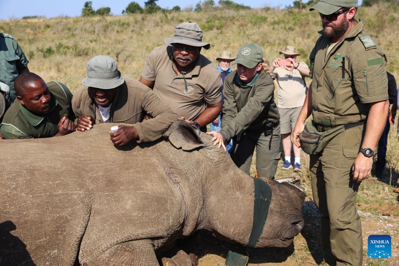 Teknolojia ya kisasa yaimarisha ulinzi wa faru katika hifadhi ya kihistoria ya Afrika Kusini